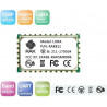 RAK811 868MHz/ 915MHz LoRa module integrates SX1276 and stm32L with TELEC CE FCC KCC certification
