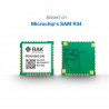DWM-RAK4260 LoRa module integrates SX1276 and ATSAMR34J18B mcu 32-bit ARM Cortex -M0