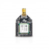 copy of RAK811 868MHz/ 915MHz LoRa module integrates SX1276 and stm32L with TELEC CE FCC KCC certification