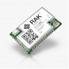 RAK11300 PI RP2040 chip and sx1262 LoRawan Module