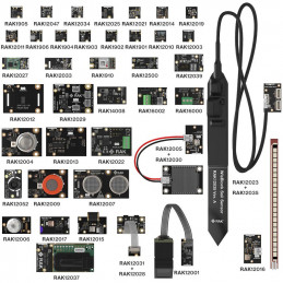 RAK WisBlock Sensor Modules...