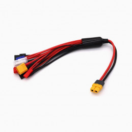 XT60-Multi function charger...