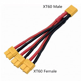 DWM-Y-XT60-12AGW 1 Male to...